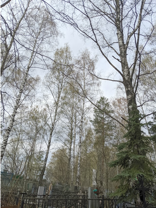 �������� �� �����